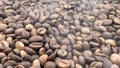 Freshly roasted hot coffee beans in smoke can be used as a background. Top view of aromatic brown coffee beans scattered Royalty Free Stock Photo