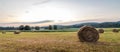Freshly rolled bales of hay rest on a field at sunrise, banner