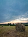 Freshly rolled bales of hay rest on a field at sunrise, portrait Royalty Free Stock Photo