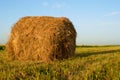 Freshly rolled hay bale Royalty Free Stock Photo