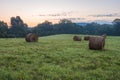 Freshly rolled hay bales rest in a farm field on a late summer morning