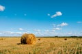Freshly rolled hay bales on wheat field Royalty Free Stock Photo