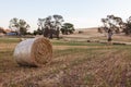 Freshly rolled haybails on a countryside in the Adelaide hills S