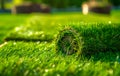 Freshly Rolled Sod for Lush Lawn Installation. Generative ai Royalty Free Stock Photo