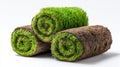 Freshly rolled sod ready for landscaping and garden projects in a sunny setting Royalty Free Stock Photo