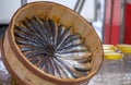 Freshly salted sardines in a round wooden box