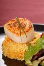 Freshly seared sea scallop on saffron rice Royalty Free Stock Photo