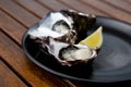 Freshly shucked Pacific oysters with lemon
