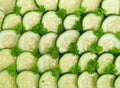 Freshly sliced cucumber Royalty Free Stock Photo