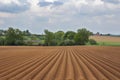 Freshly sowed field