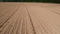 Freshly sowed spring field soil with lines, aerial view