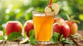 Freshly squeezed apple juice in a glass with apple slices on a wooden table Royalty Free Stock Photo