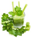 Freshly squeezed celery juice