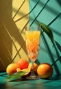 Freshly Squeezed Orange Juice - Glass of the nectar of the gods Royalty Free Stock Photo