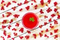 Freshly squeezed red juice with green leaf currant Royalty Free Stock Photo