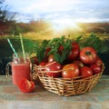 Freshly squeezed tomato juice in a glass cup, a basket with ripe tomatoes Royalty Free Stock Photo