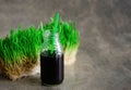 Freshly squized wheatgrass portion in a bottle with a straw Royalty Free Stock Photo