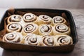 Freshly sweet baked cinnabon buns with cream chees sauce on baking paper. Royalty Free Stock Photo