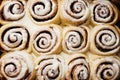 Freshly sweet baked cinnabon buns with cream chees sauce on baking paper. Royalty Free Stock Photo