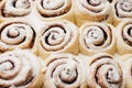 Freshly sweet baked cinnabon buns with cream chees sauce on baking paper. Royalty Free Stock Photo