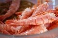 Freshly thawed shrimps lie on a plate Royalty Free Stock Photo