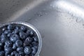 Freshly washed blueberries in a stainless steel colander in a kitchen sink