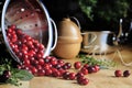 Freshly Washed Cranberries in Stainless Colander