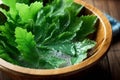 Freshly Washed Kale Leaves in Wooden Salad Bowl