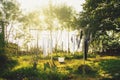 Freshly washed laundry drying on the string outside in the backyard of the farm Royalty Free Stock Photo
