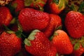 Freshly washed strawberries ready to eat Royalty Free Stock Photo