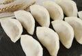 Freshly wrapped dumplings close up. Chinese food