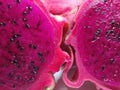 Freshness of dragon fruit