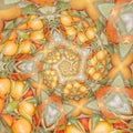 Freshness fruits in mandala isolated in white background