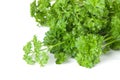 Freshness green parsley