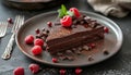Freshness and indulgence on a plate homemade chocolate dessert