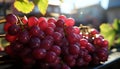 Freshness of nature, ripe grape bunches, organic winemaking in vineyards generated by AI