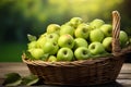 Freshness personified a basket holds an abundance of crisp and succulent green apples