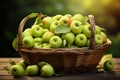 Freshness personified a basket holds an abundance of crisp and succulent green apples