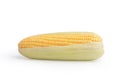 Freshness raw corn isolated on the white background Royalty Free Stock Photo