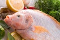 Freshness reddens the Nile Tilapia fish