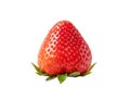 Freshness ripe a strawberry isolated on the white background