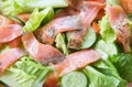 Freshness Slice Smoked Salmon Salad