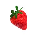 freshness strawberry red color fruit isolated white background