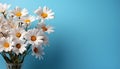 Freshness of summer blue daisy blossoms in nature bouquet generated by AI Royalty Free Stock Photo