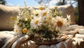 Freshness of summer, nature beauty in a daisy bouquet vase generated by AI Royalty Free Stock Photo