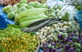 Freshness vegetables