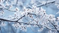 Freshness of winter snow covered branches blossom with icy beauty generated by AI Royalty Free Stock Photo
