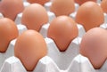 Freshs eggs on the tray  ready for cooking Royalty Free Stock Photo