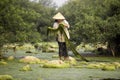 Freshwater algae Villagers or fishermen in the Mekong River