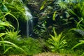 freshwater Amano style planted lava stone iwagumi aquadesign, vivid colors of bright LED light, aquatic plants professional care